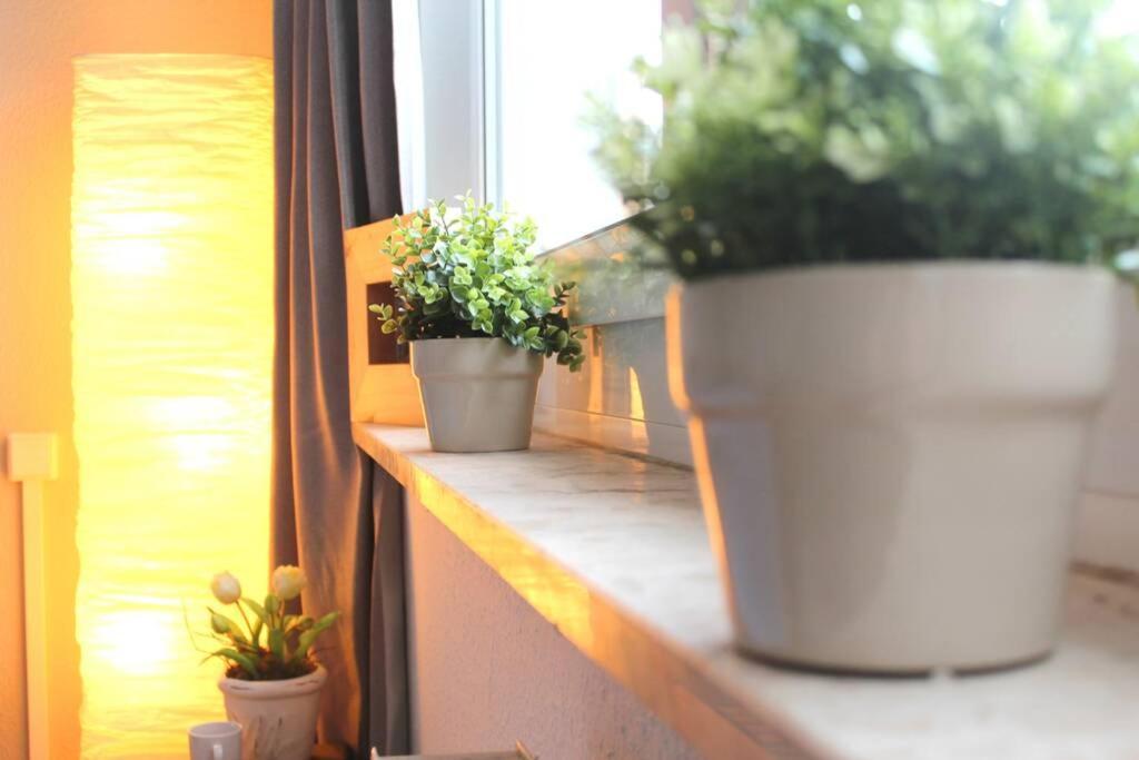 Apartment Bella Chemnitz Extérieur photo